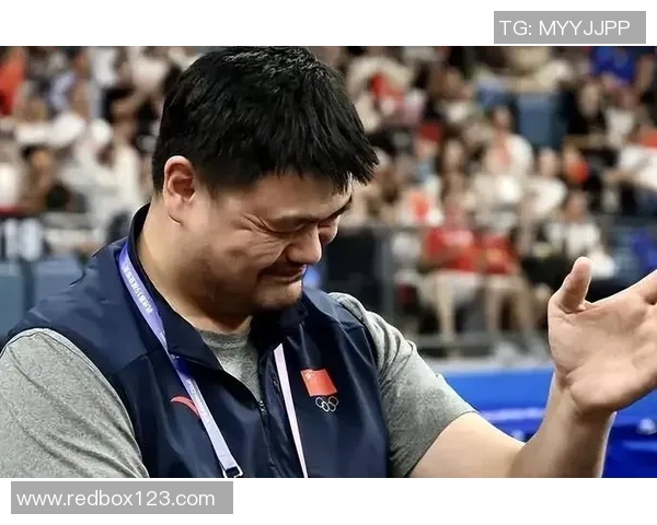 裁判阻挡姚明进攻瞬间引发争议球迷热议裁判判罚合理性